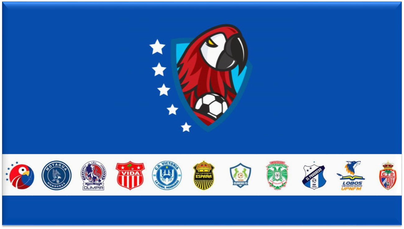 Liga Nacional 2.png